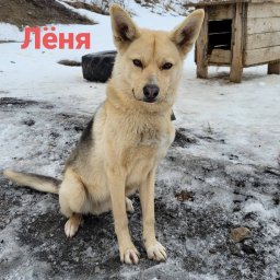Лёня